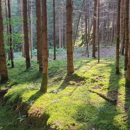 Lindwurm * Klagenfurt am Woerthersee