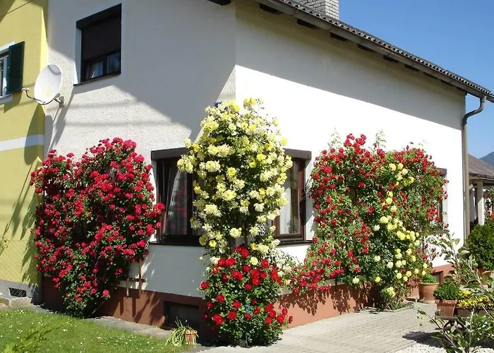 Lindwurm * 克拉根福