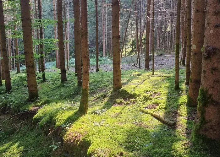 Lindwurm * 克拉根福